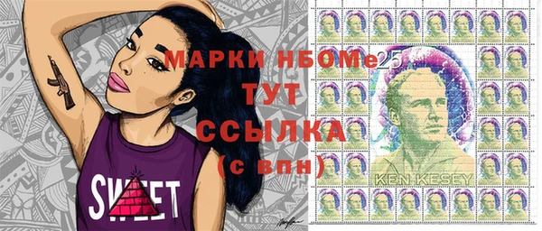 сатива Новозыбков