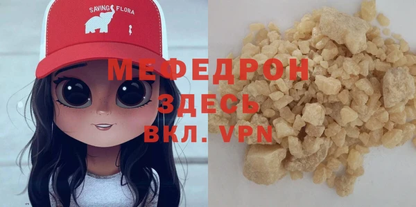 сатива Новозыбков