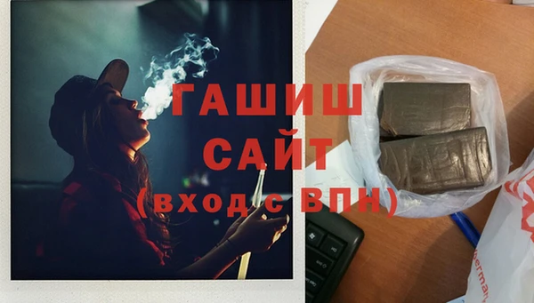 сатива Новозыбков