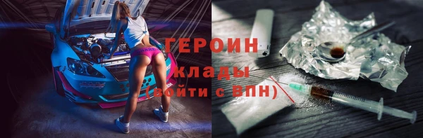 сатива Новозыбков