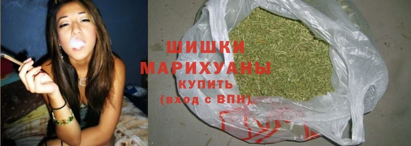 молекула духа Новокубанск