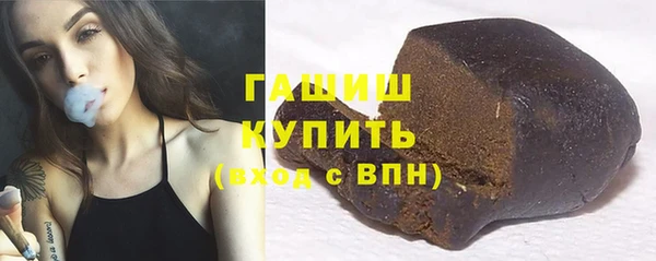 сатива Новозыбков