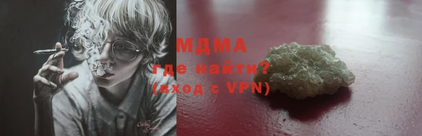 сатива Новозыбков