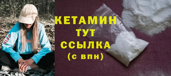 сатива Новозыбков