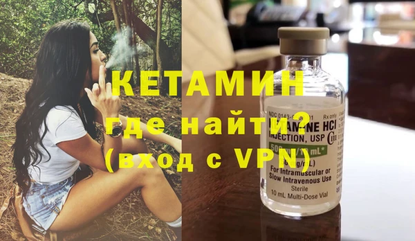сатива Новозыбков