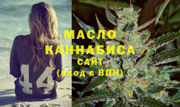 сатива Новозыбков