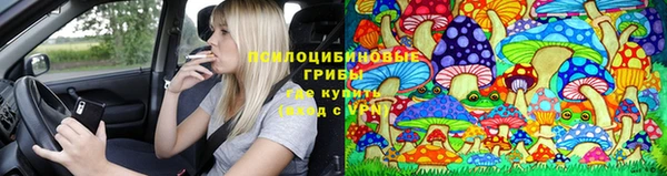 молекула духа Новокубанск