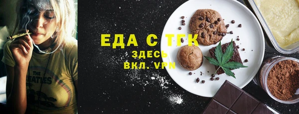 сатива Новозыбков