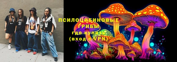 молекула духа Новокубанск