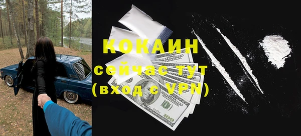 сатива Новозыбков