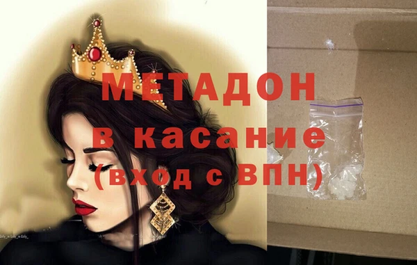 сатива Новозыбков