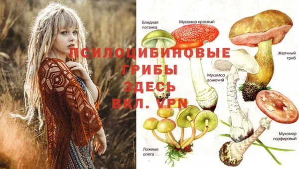молекула духа Новокубанск