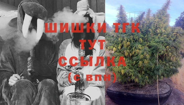молекула духа Новокубанск