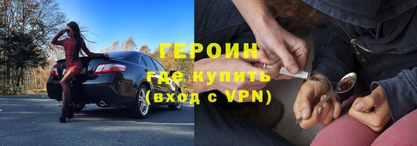 сатива Новозыбков