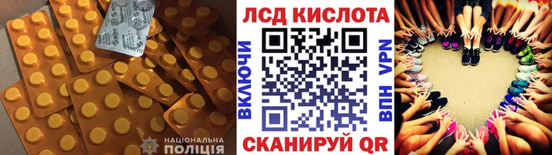 площадка официальный сайт  Электрогорск  LSD-25 экстази ecstasy  кракен онион 