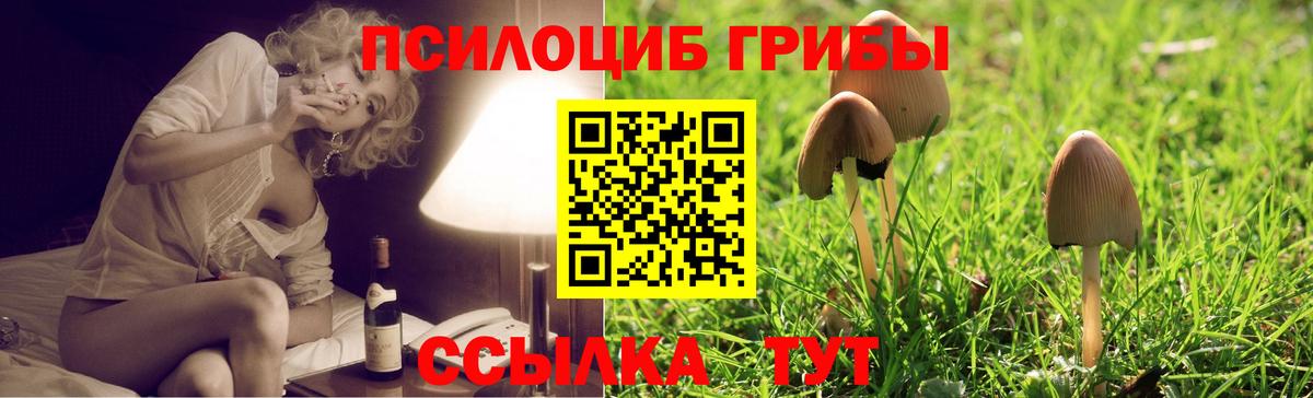 Галлюциногенные грибы MAGIC MUSHROOMS Электрогорск